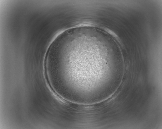 X0000067931423200604171423