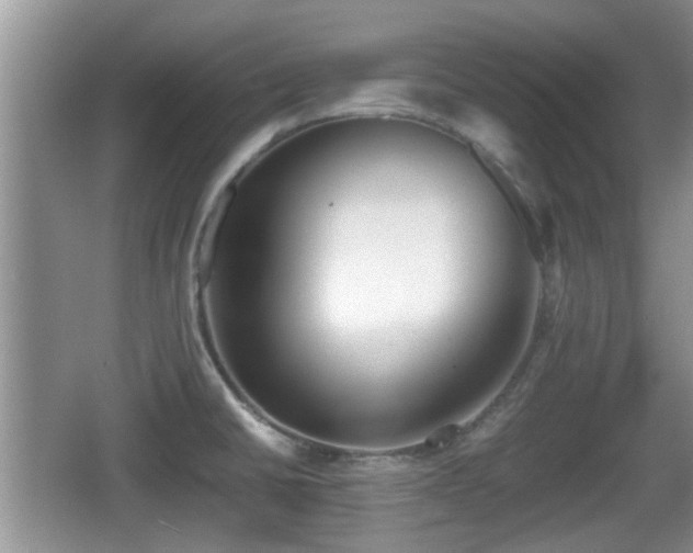 X0000067931430200604171423