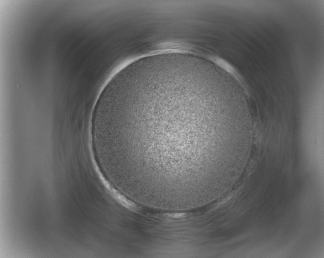 X0000067931431200604171423