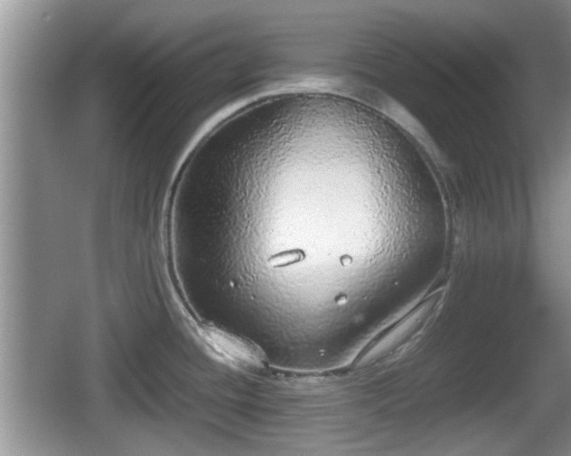 X0000067931436200604171423