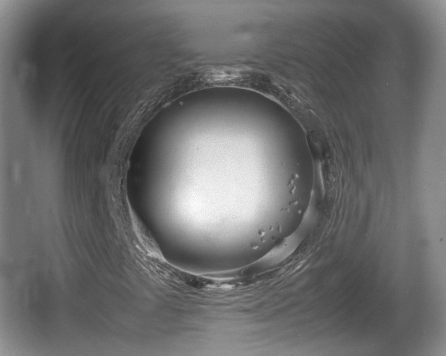 X0000067931441200604171422