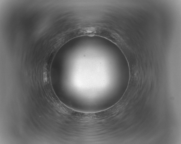 X0000067931442200604171422