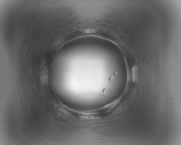 X0000067931443200604171422