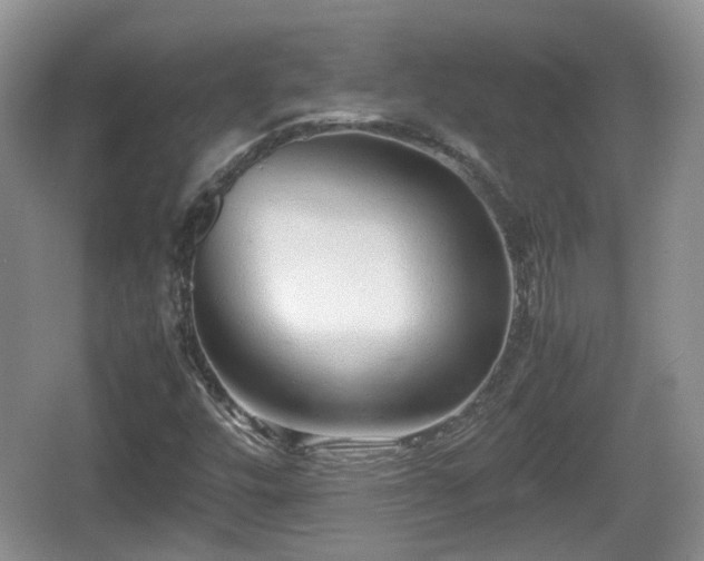 X0000067931448200604171422
