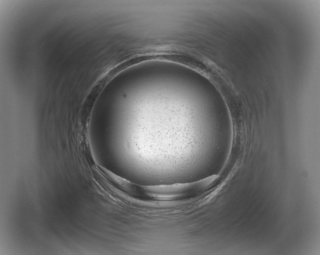 X0000067931449200604171422