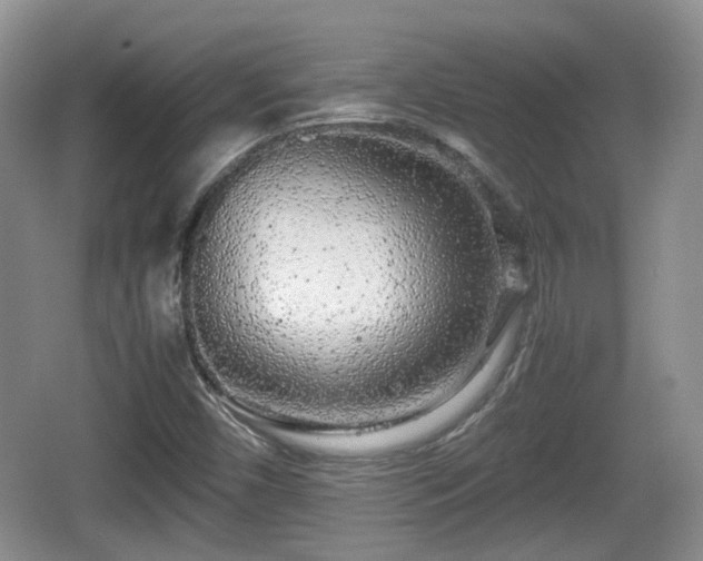X0000067931450200604171422