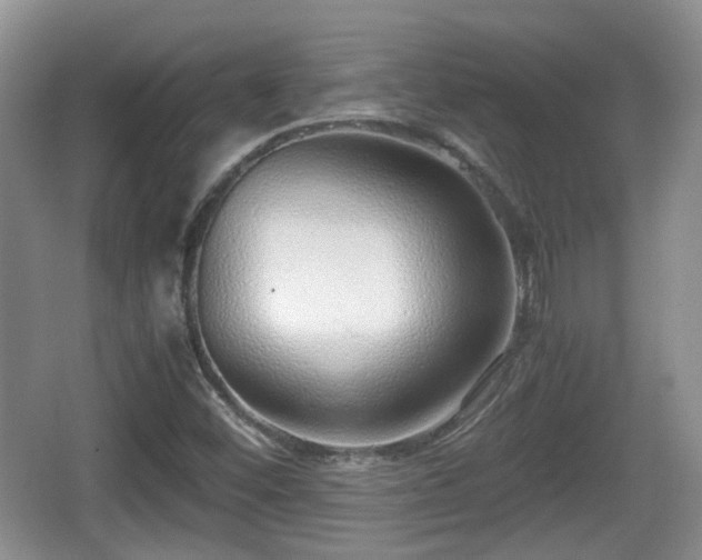 X0000067931452200604171422