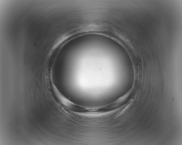 X0000067931453200604171422