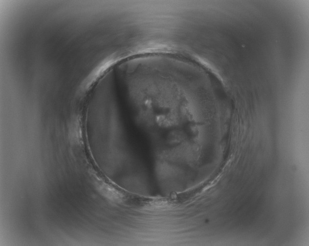 X0000067931455200604171422
