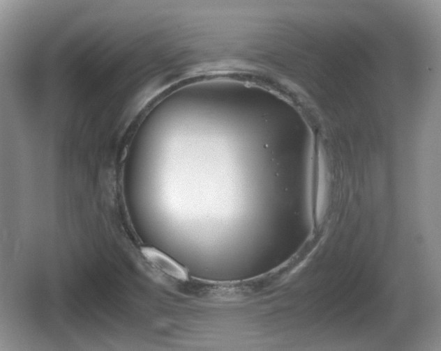 X0000067931457200604171422