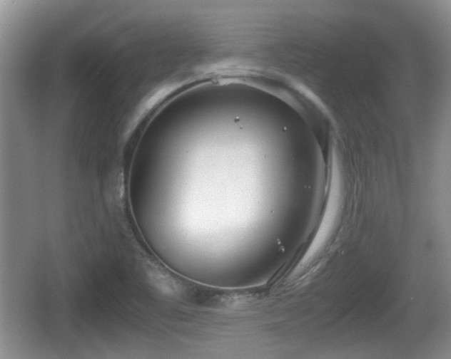 X0000067931461200604171422