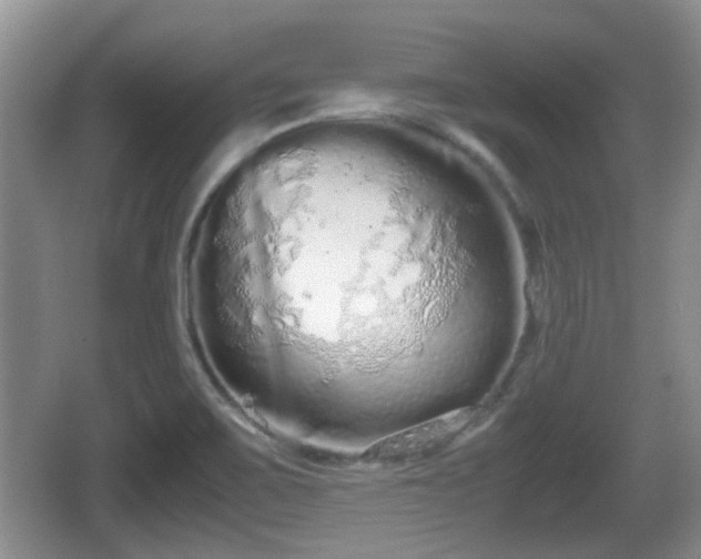 X0000067931467200604171422