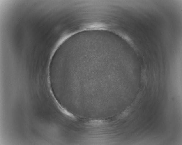 X0000067931470200604171422