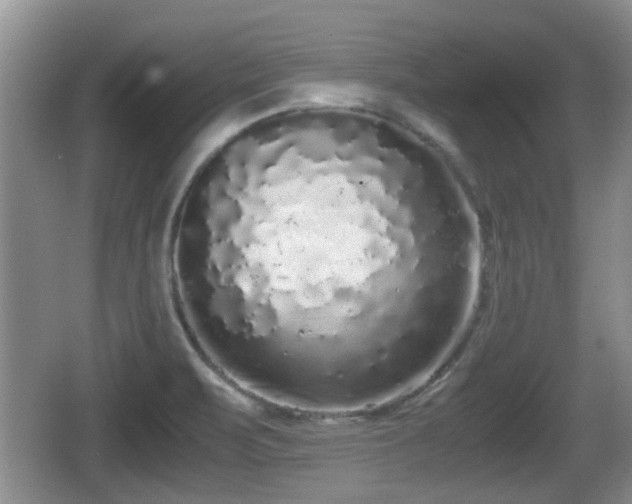 X0000067931471200604171422