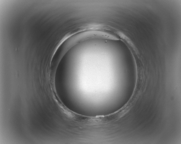 X0000067931473200604171422