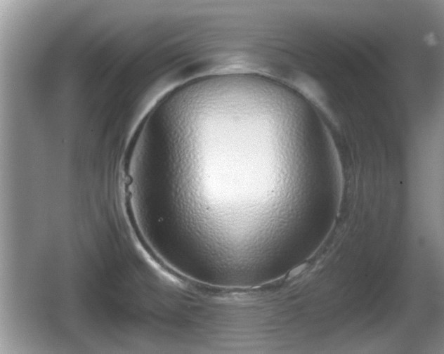 X0000067931476200604171422