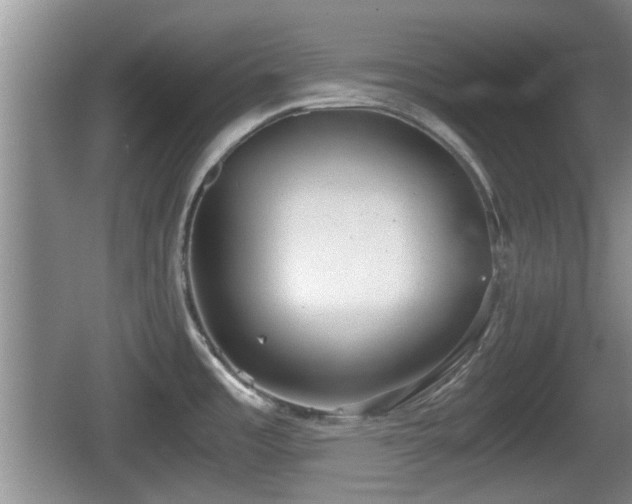 X0000067931485200604171421