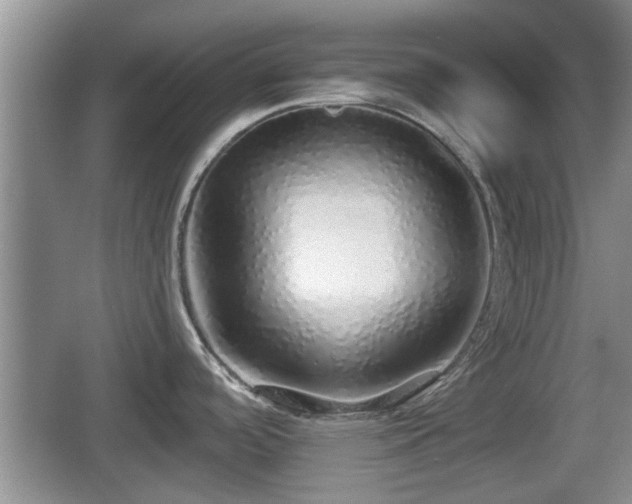 X0000067931488200604171421