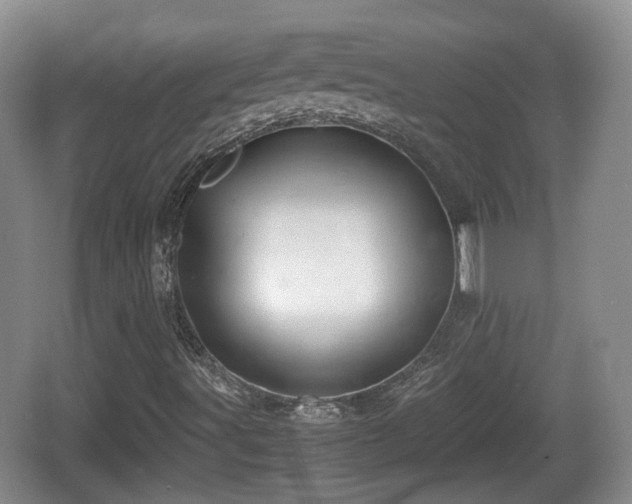 X0000067931491200604171421