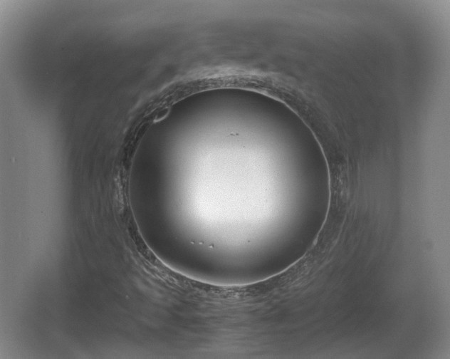 X0000067931493200604171421