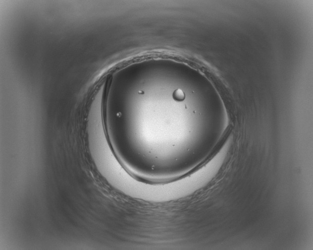 X0000067931496200604171421