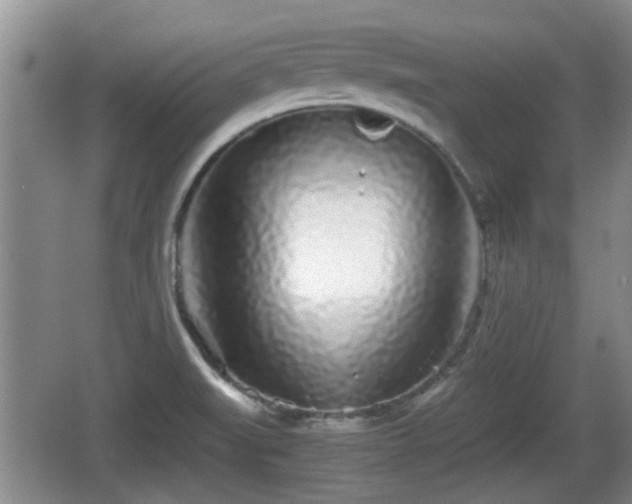 X0000067931519200604171421