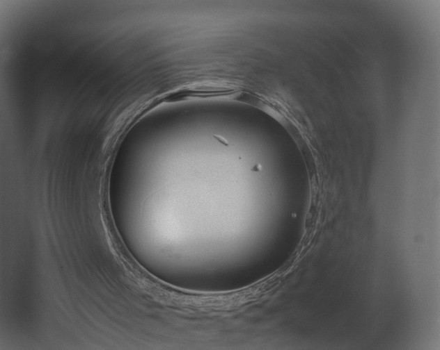 X0000067930001200604201508