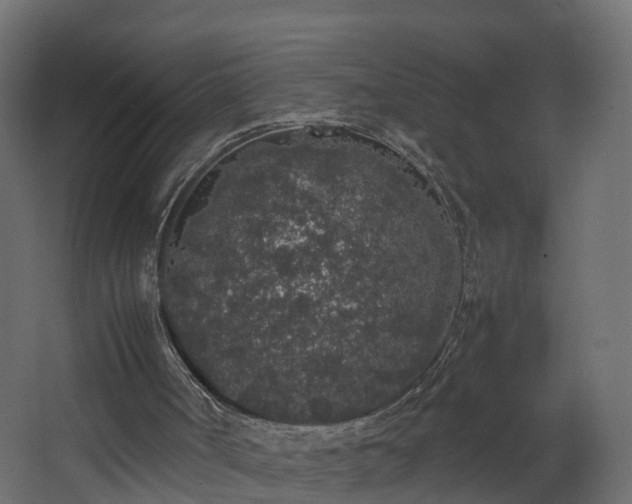 X0000067930002200604201508