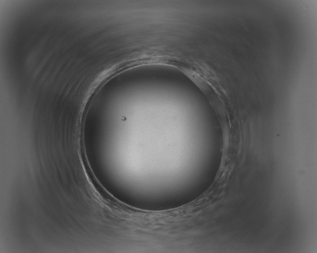 X0000067930003200604201508