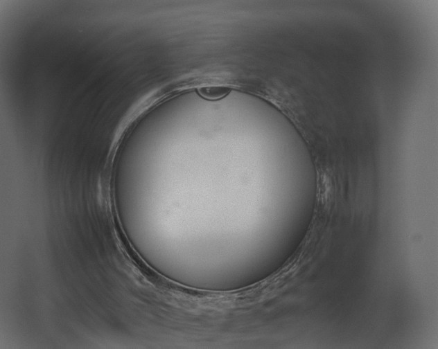 X0000067930004200604201508