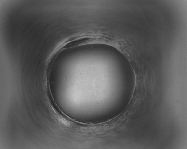 X0000067930005200604201508