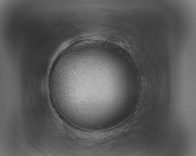 X0000067930006200604201508