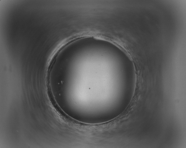 X0000067930007200604201508