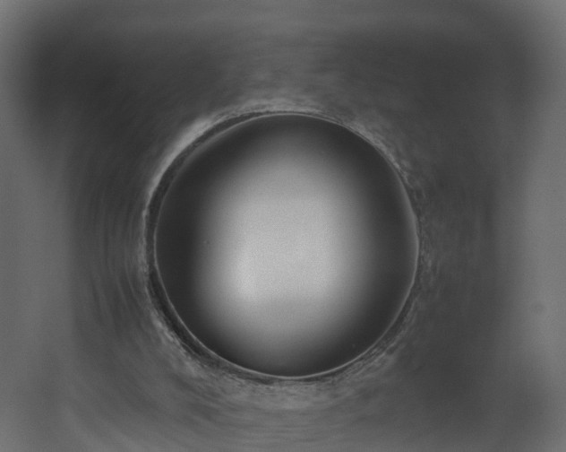 X0000067930008200604201508