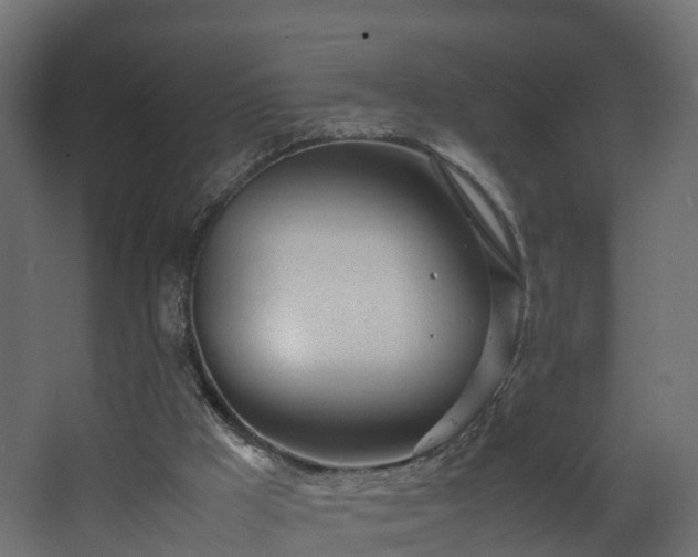 X0000067930009200604201508