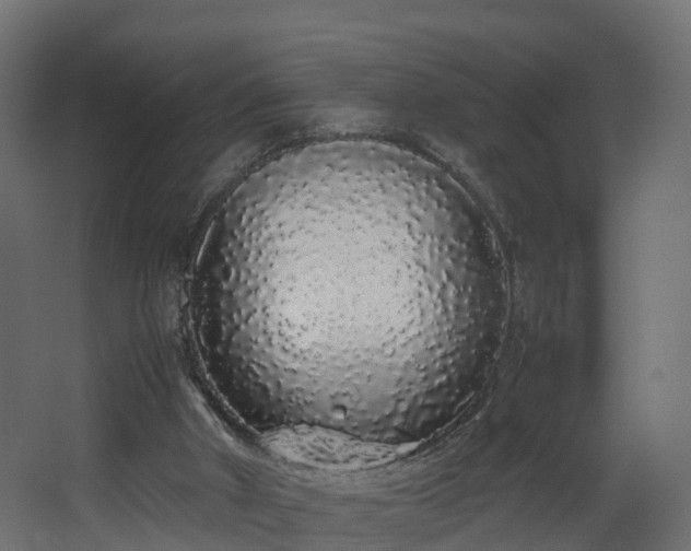 X0000067930010200604201508