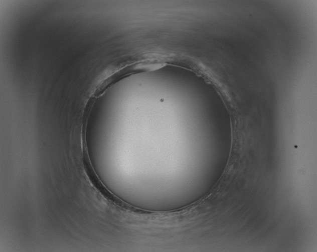 X0000067930011200604201508