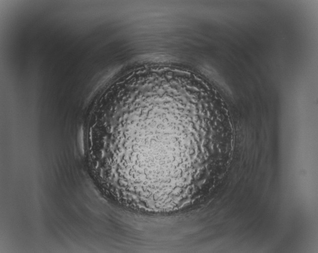 X0000067930014200604201508