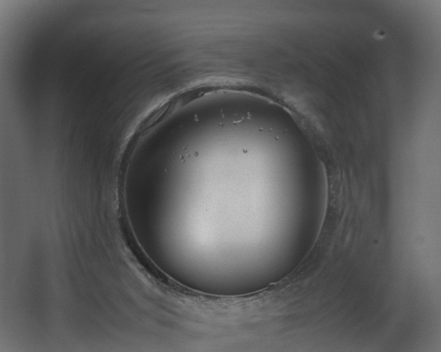 X0000067930015200604201508