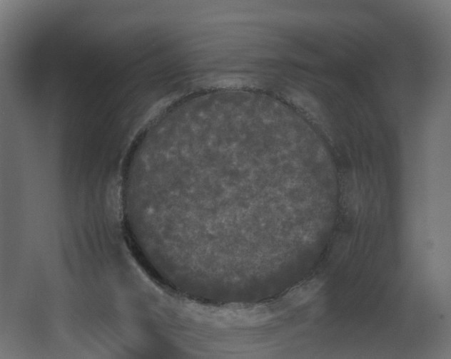 X0000067930016200604201508