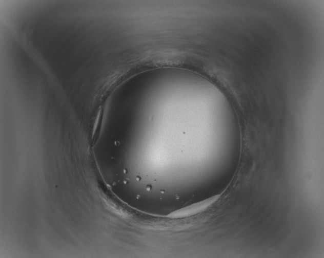 X0000067930017200604201508