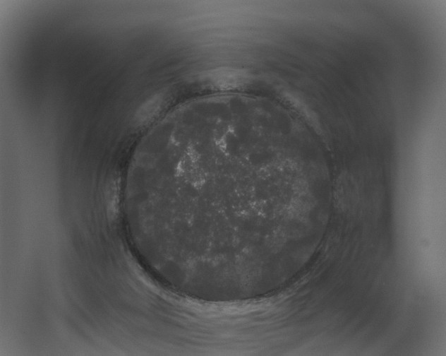 X0000067930018200604201508