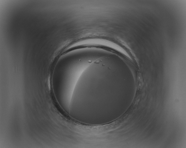 X0000067930019200604201508