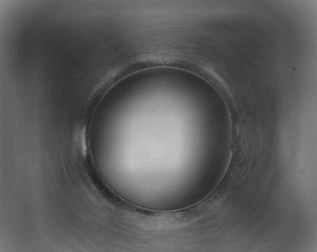 X0000067930020200604201508