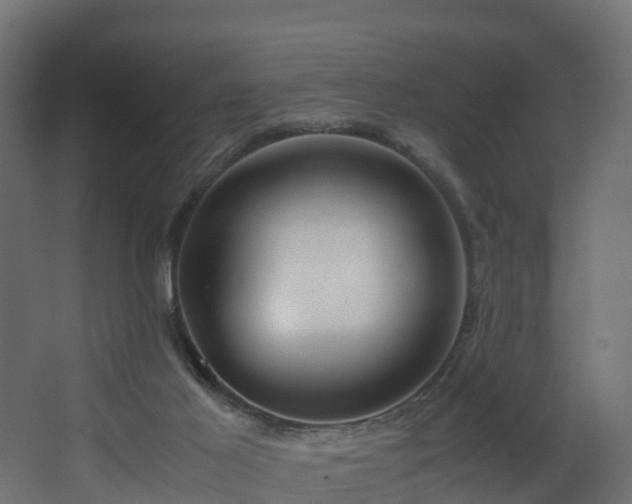 X0000067930021200604201508