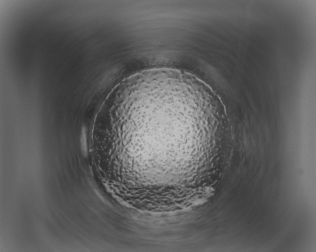 X0000067930022200604201508