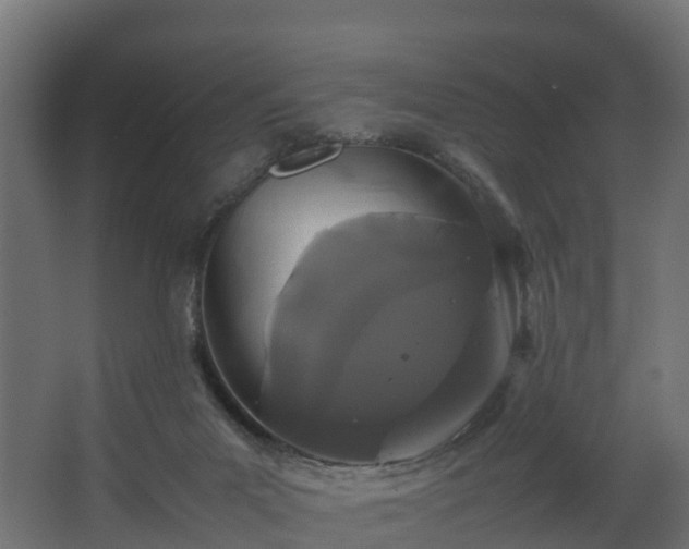 X0000067930023200604201508