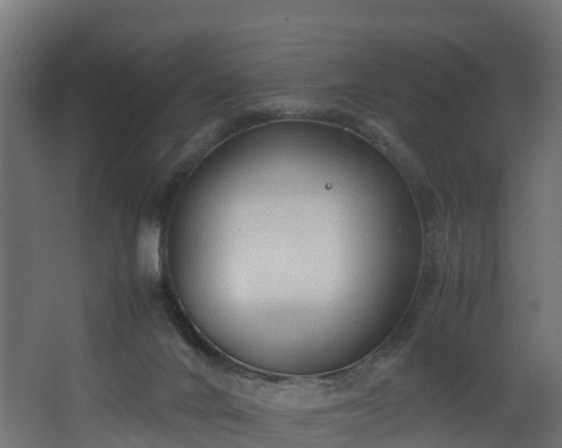 X0000067930024200604201508