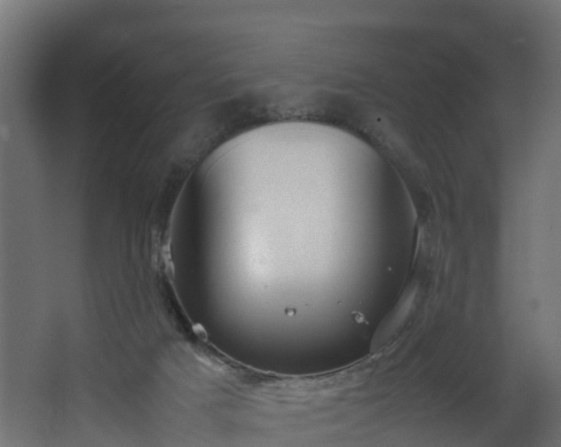 X0000067930025200604201508