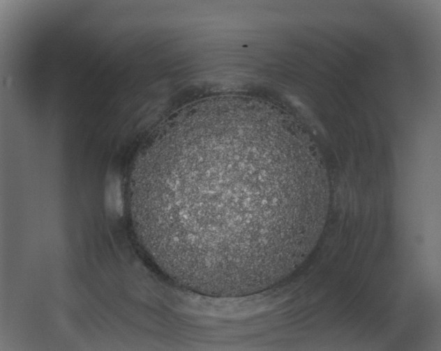 X0000067930026200604201508